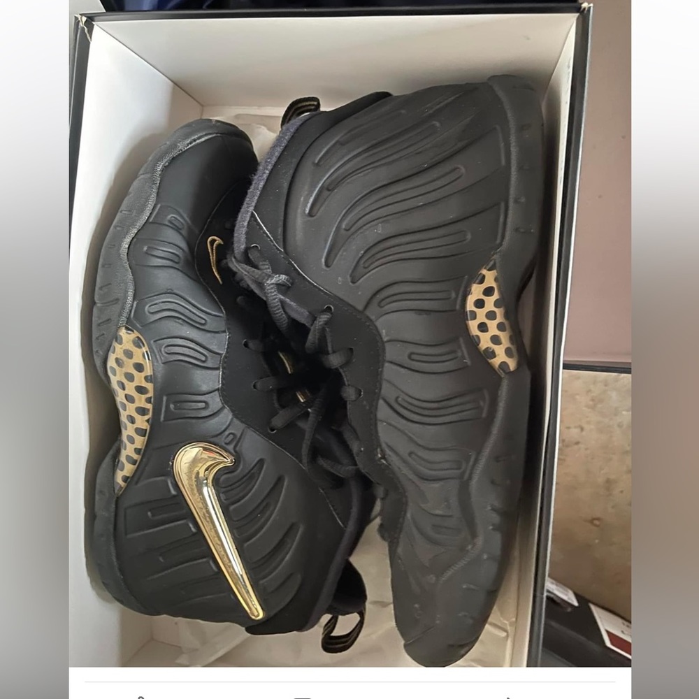 Nike Posite pro